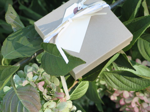 Lisa_leonard_008 Lisa_leonard_008