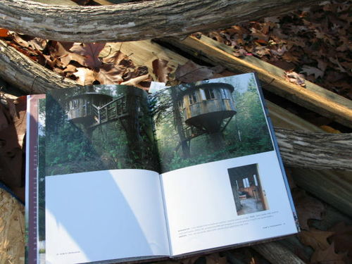 Treehouse and stuff 011
