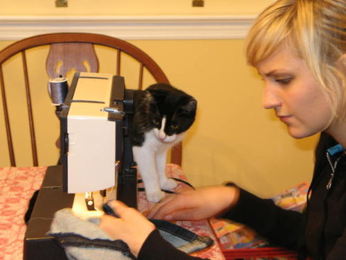 House decoration 023