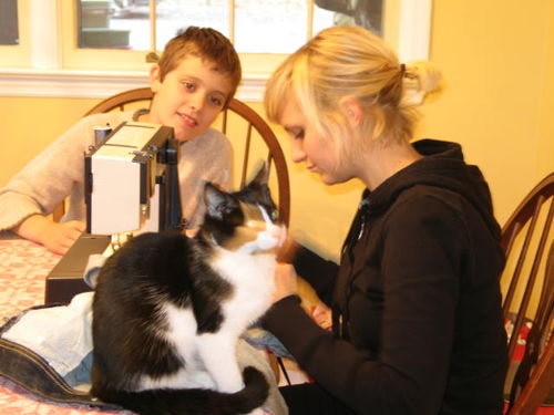 House decoration 024