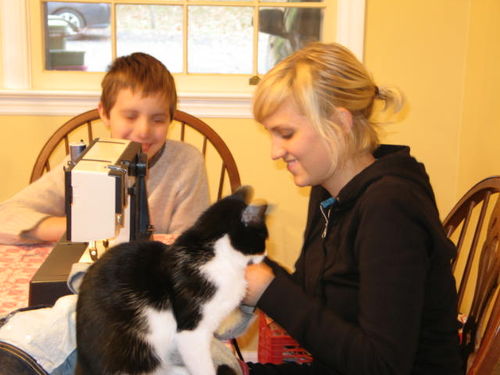 House decoration 025