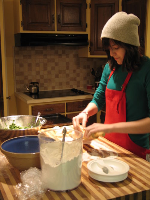 Festive cooking and the science project 039