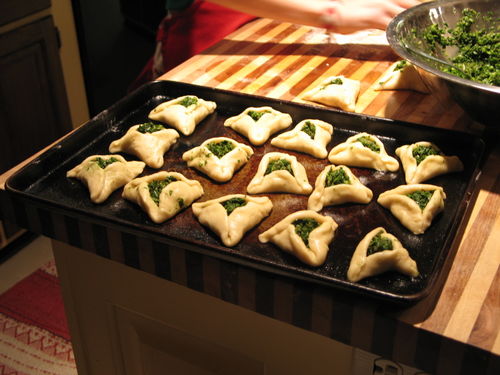 Festive cooking and the science project 041