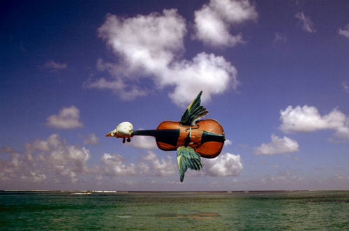 Celloflyingcello