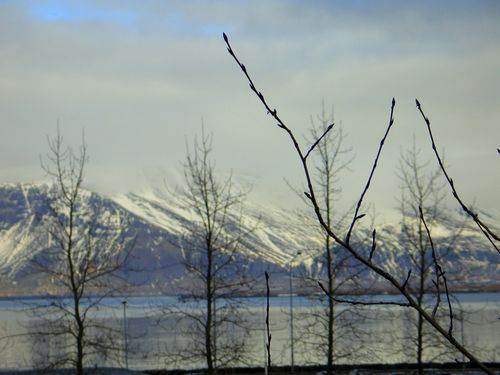 Yellow belt and iceland 015