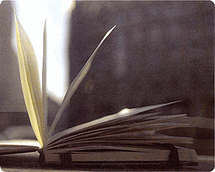 Moleskine_2032_34987