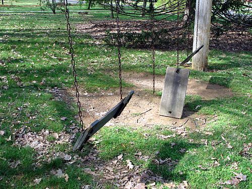 Fixing and tree planting 012