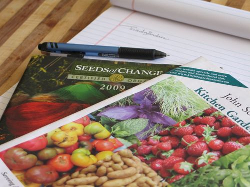 O's b-day and book festivel 018