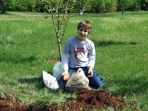 Fixing and tree planting 002