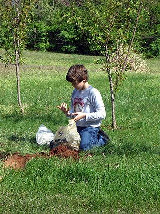 Fixing and tree planting 001