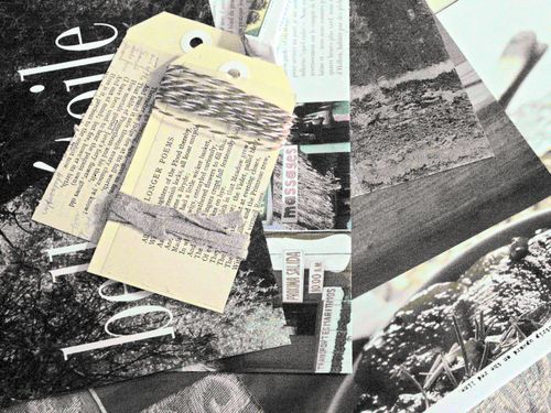 Nifties,garden_0080_edited-1