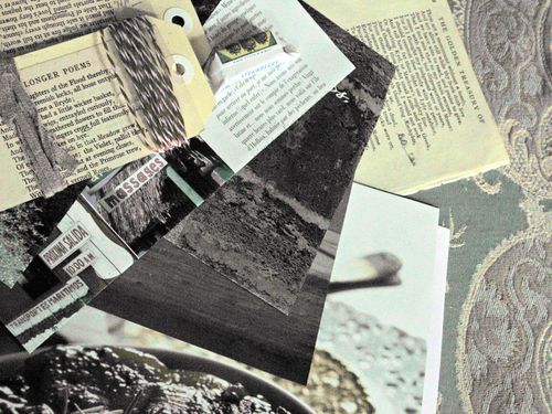 Nifties,garden_0081_edited-1