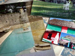 Nifties,garden_0086_edited-1