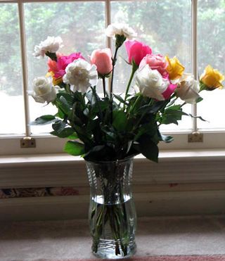 Machines,flowers, mothersday 040