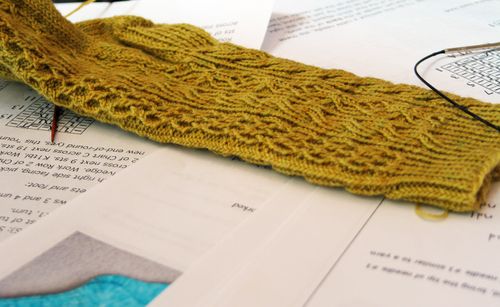 Knitting in Public 008