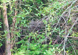 Storm and journal_0235_edited-1