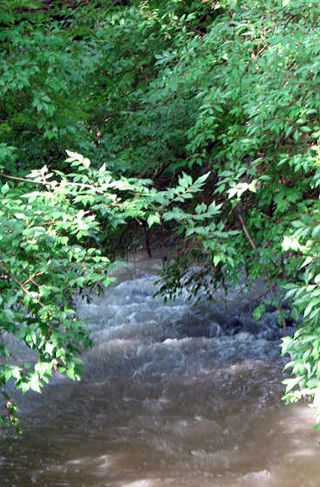 Storm and journal_0246_edited-1