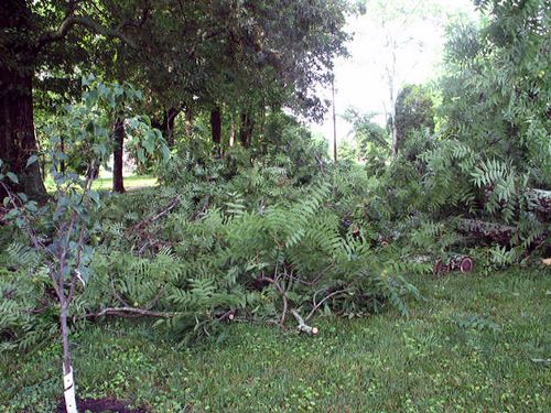 Storm and journal_0257_edited-1