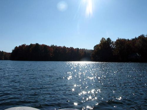 Stuga and Obama win 023