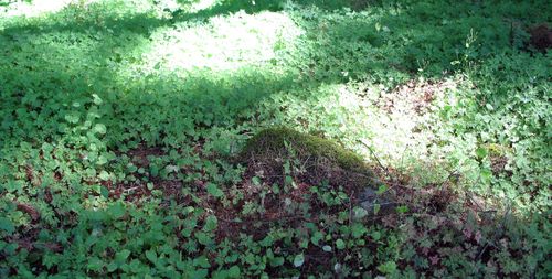 Garden,funeral,portland,hood river_0923_edited-1