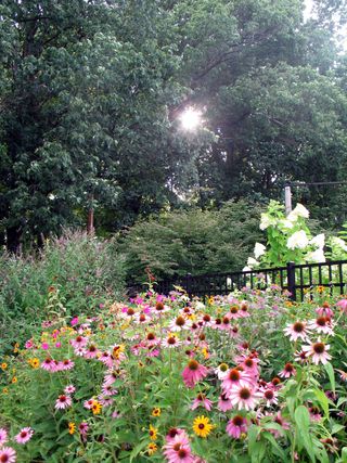 A stolen moment_0601_edited-1