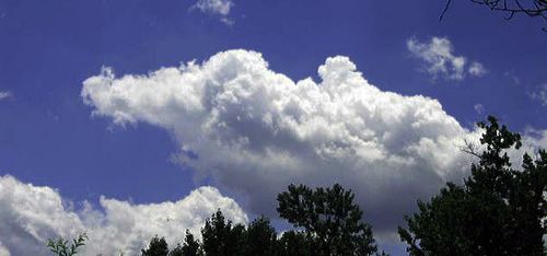 The Middle Garden and Fairy Houses_0543_edited-1