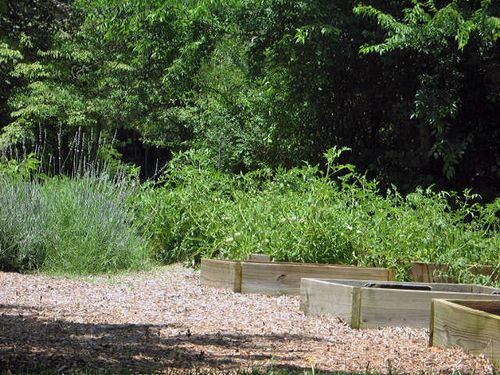 The Middle Garden and Fairy Houses_0553_edited-1