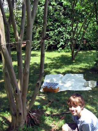 The Middle Garden and Fairy Houses_0558_edited-1
