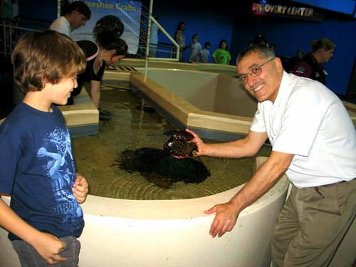 Gaitlinburg,stuga,knitting_1290