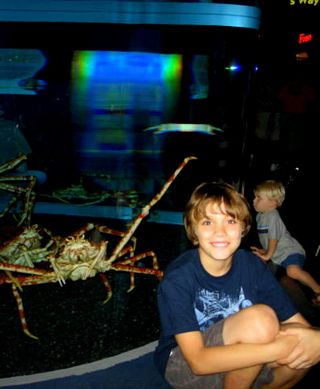 Gaitlinburg,stuga,knitting_1263