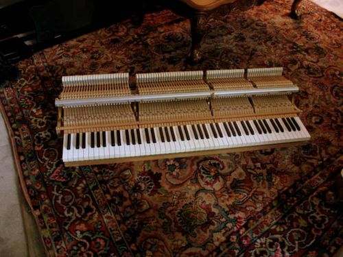 Blueberries and piano_1132