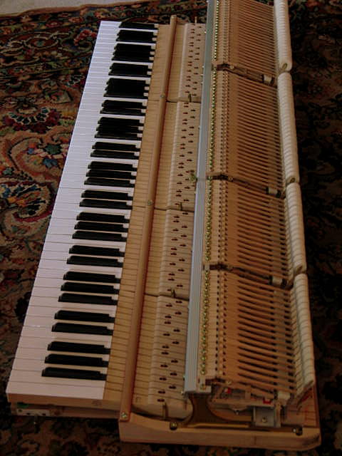 Blueberries and piano_1139