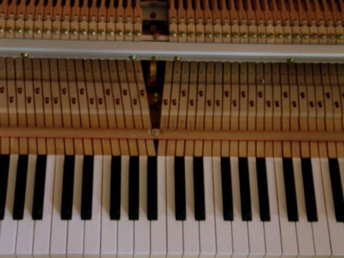 Blueberries and piano_1134