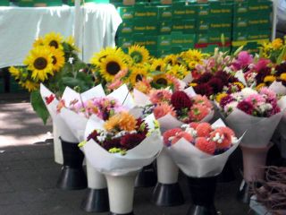 Garden,funeral,portland,hood river_0750_edited-1