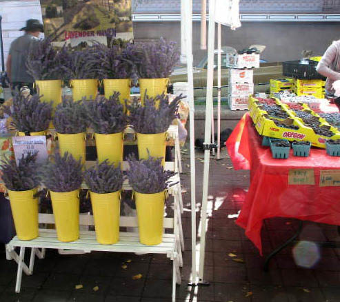 Garden,funeral,portland,hood river_0748_edited-1