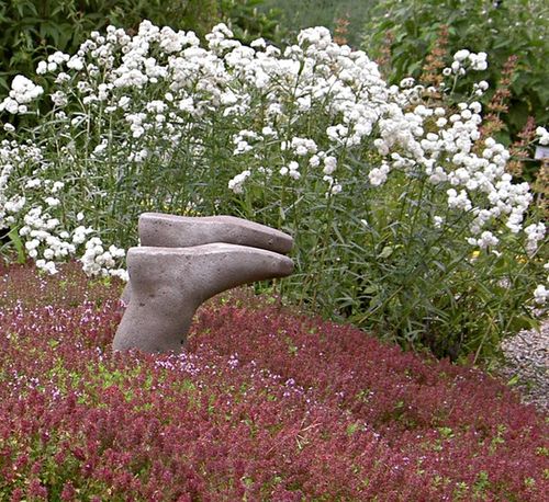 Upsidedown in the garden