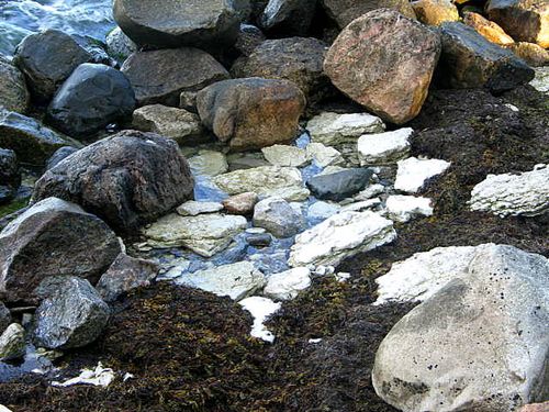 Karlskrona and Visby day 1 145