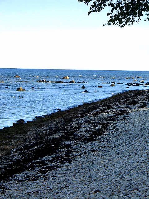 Karlskrona and Visby day 1 150