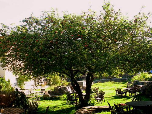 Karlskrona and Visby day 1 285