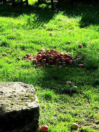 Karlskrona and Visby day 1 291