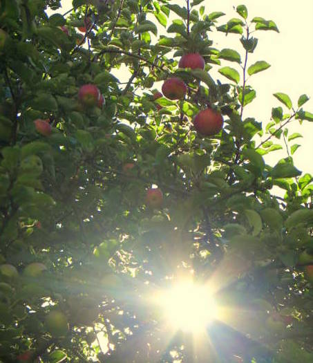 Karlskrona and Visby day 1 312