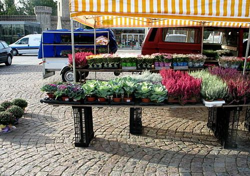 Karlskrona and Visby day 1 083