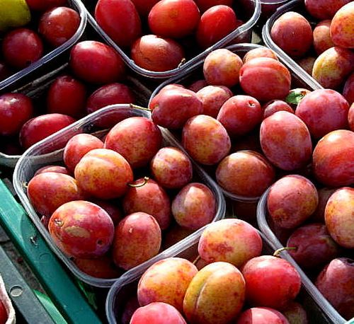 Karlskrona and Visby day 1 080