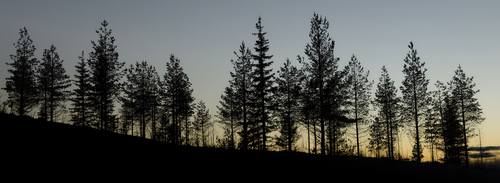 Shutterstock_23790889