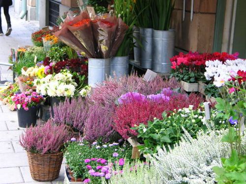 Germany and sweden September 2008 072