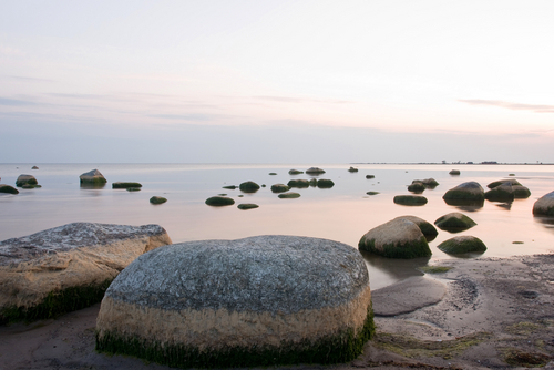 Shutterstock_22553335