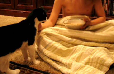 Katten stuga, and play_2228