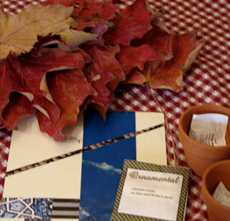 Snail mail exchange_2401