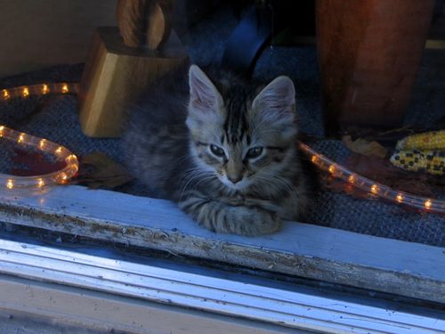 Inventions,colleges and home_2152