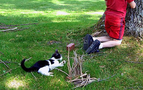 Savannah,gardening,playing,treasures 144